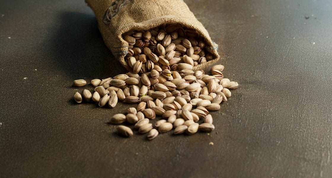 Şura Pistacchi Antep Fıstığı Üretim Tesisi